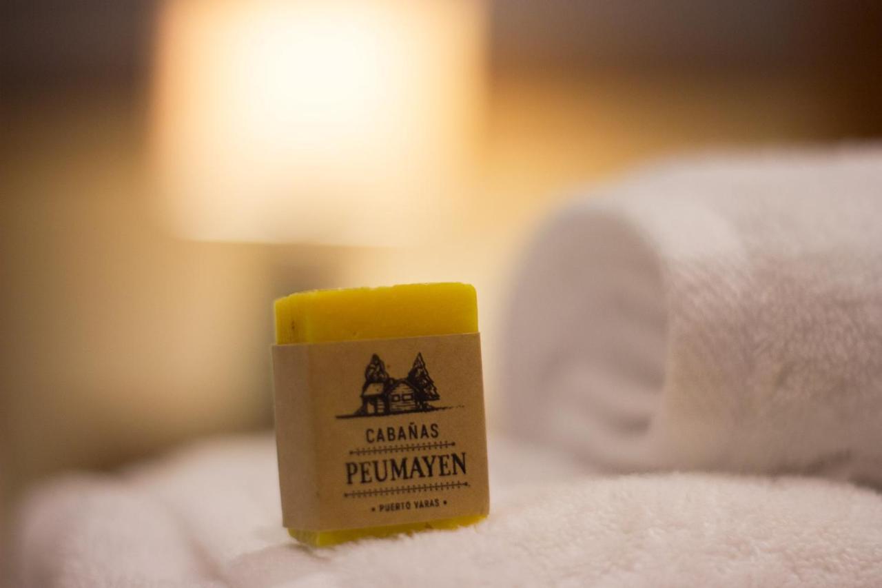 Cabanas Peumayen プエルト・バラス エクステリア 写真